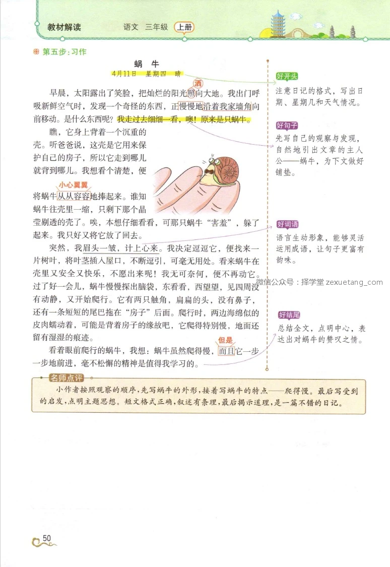如何培养青少年篮球后卫的比赛意识_1